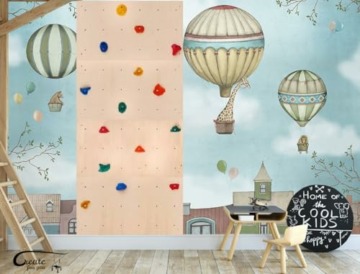 Create for you® - Kletterwand Kinderzimmer + 5 Klettersteine - Kletterwand für Kinder Indoor - Klettergerüst und Spielgeräte Indoor - Klettern mit Klettergriffe für Kinder - 120x60 cm - 6